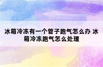 冰箱冷冻有一个管子跑气怎么办 冰箱冷冻跑气怎么处理